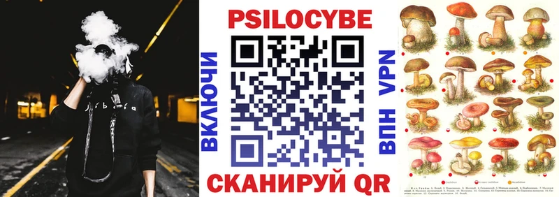 Галлюциногенные грибы мицелий  Южа 